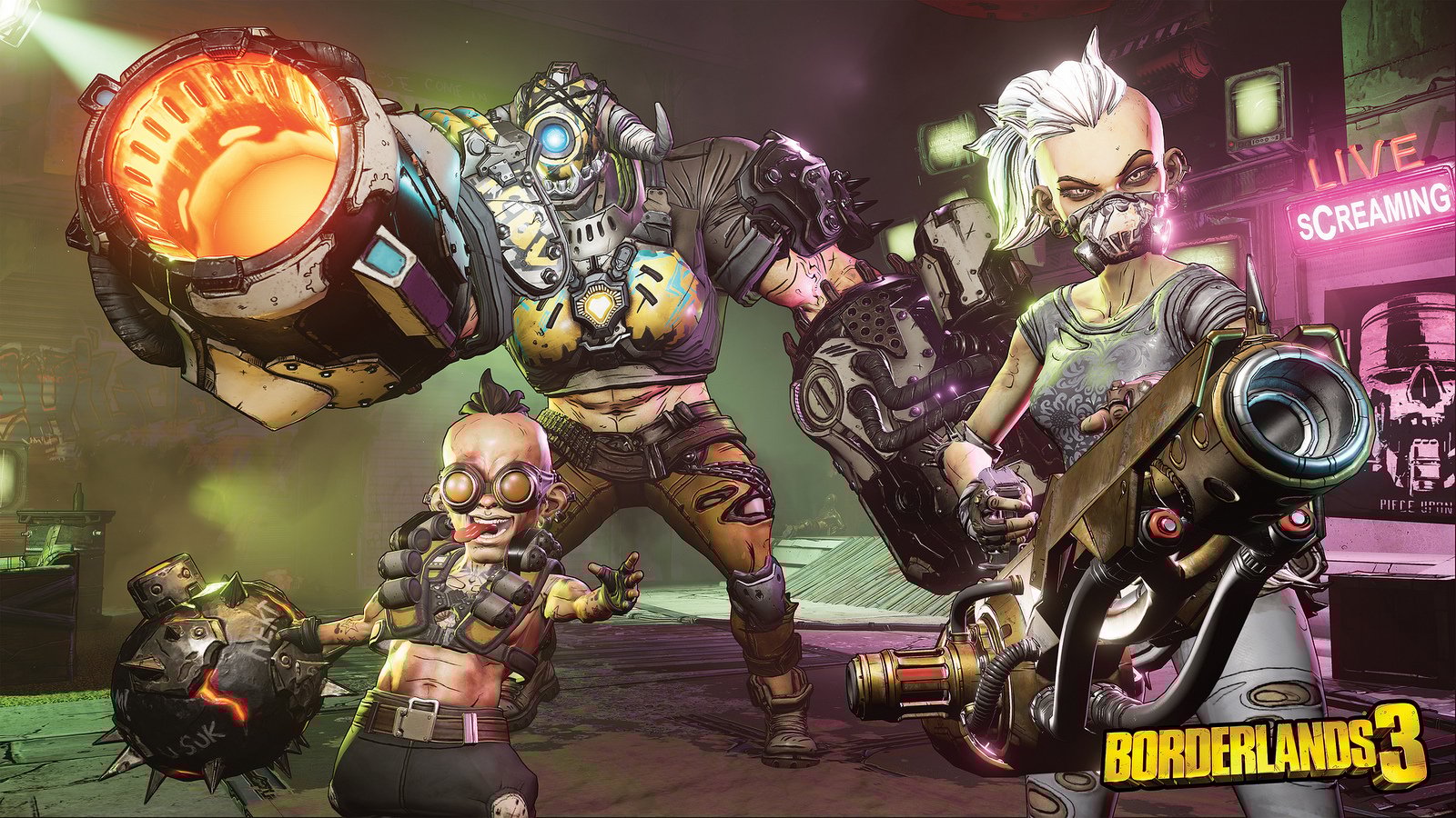 Borderlands 3 Vgc