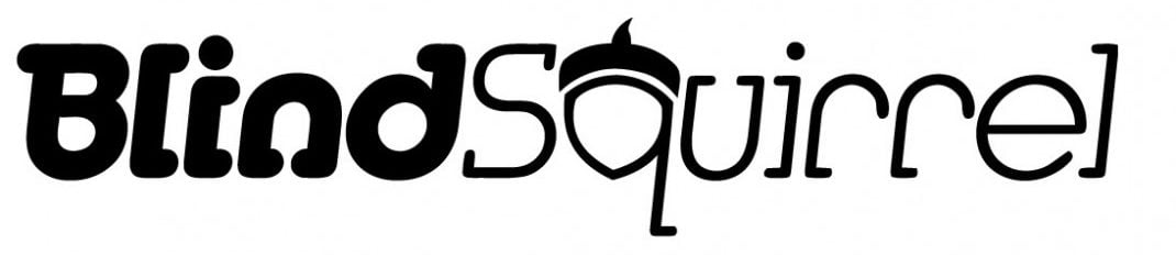 Blind Squirrel Games VGC