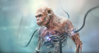 New Beyond Good and Evil 2 art released