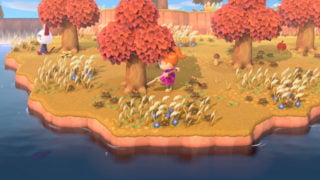 Nintendo removes mention of save restore cap from Animal Crossing Direct