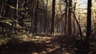 Blair Witch gameplay trailer features canine companion Bullet