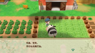 Story of Seasons: Reunion in Mineral Town News