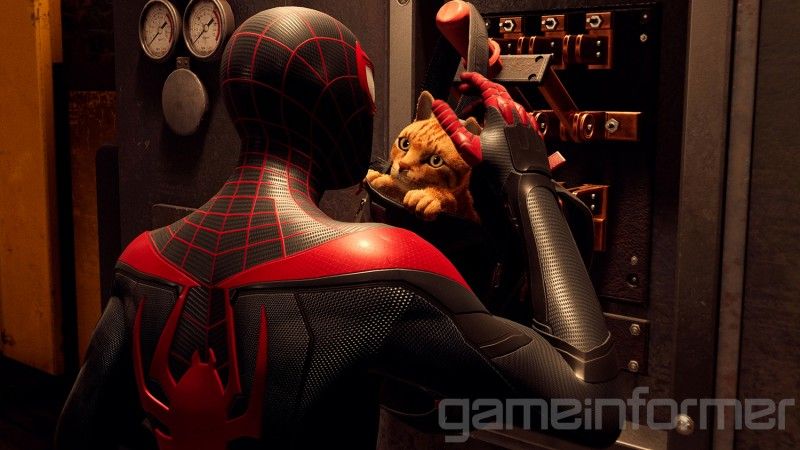 The Top 10 Coolest Cats In Gaming - Game Informer