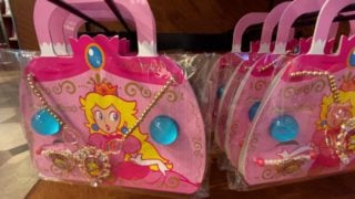 Super Nintendo World merchandise guide