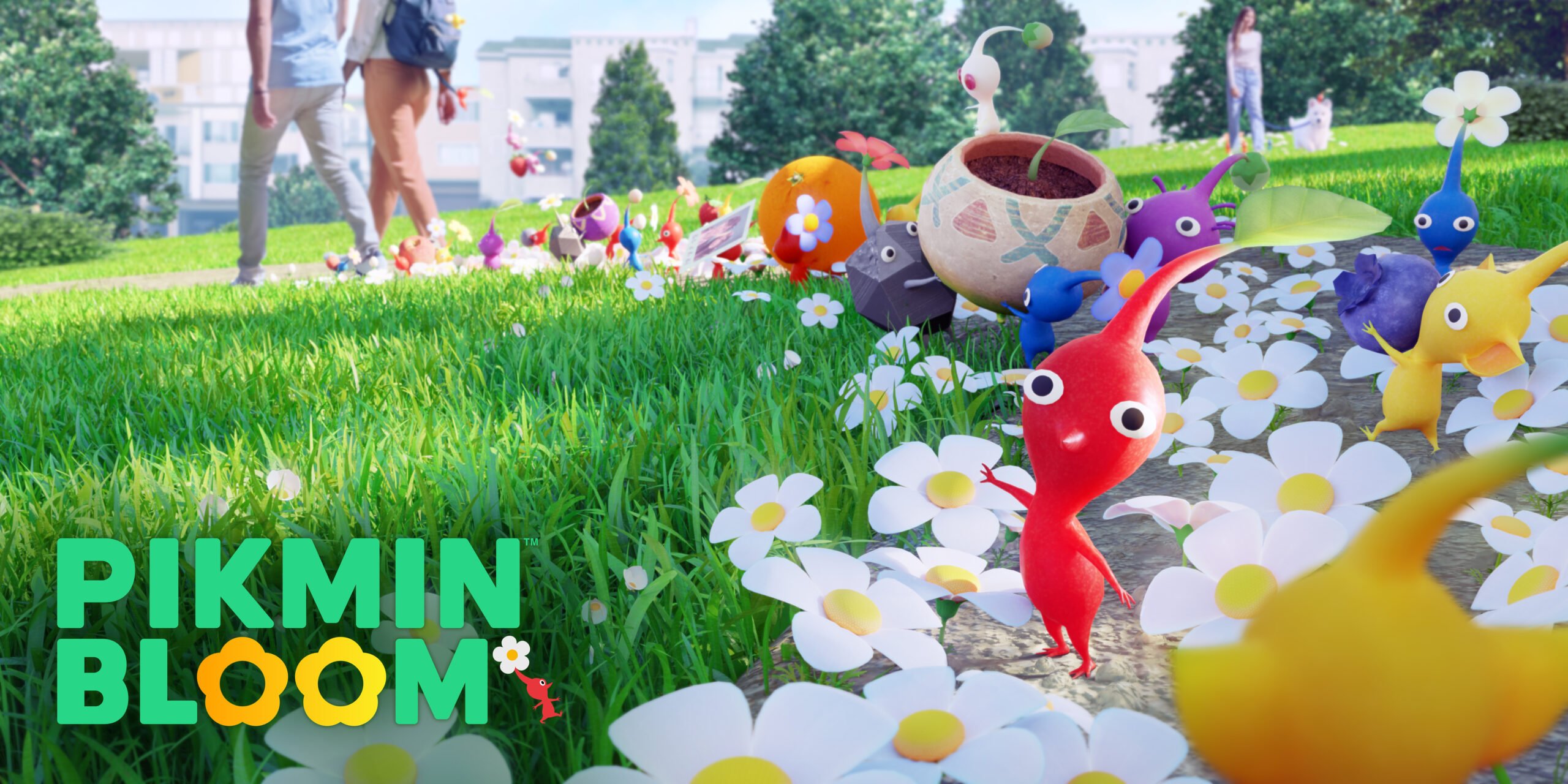 Pikmin Bloom, Niantic’s mobile Pikmin game, is rolling out today VGC