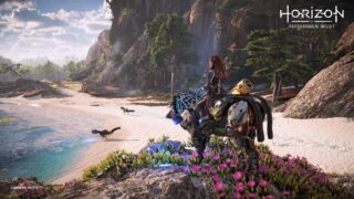 A Horizon Forbidden West update will target various visual issues