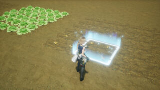 Square Enix has announced new life simulation RPG Harvestella