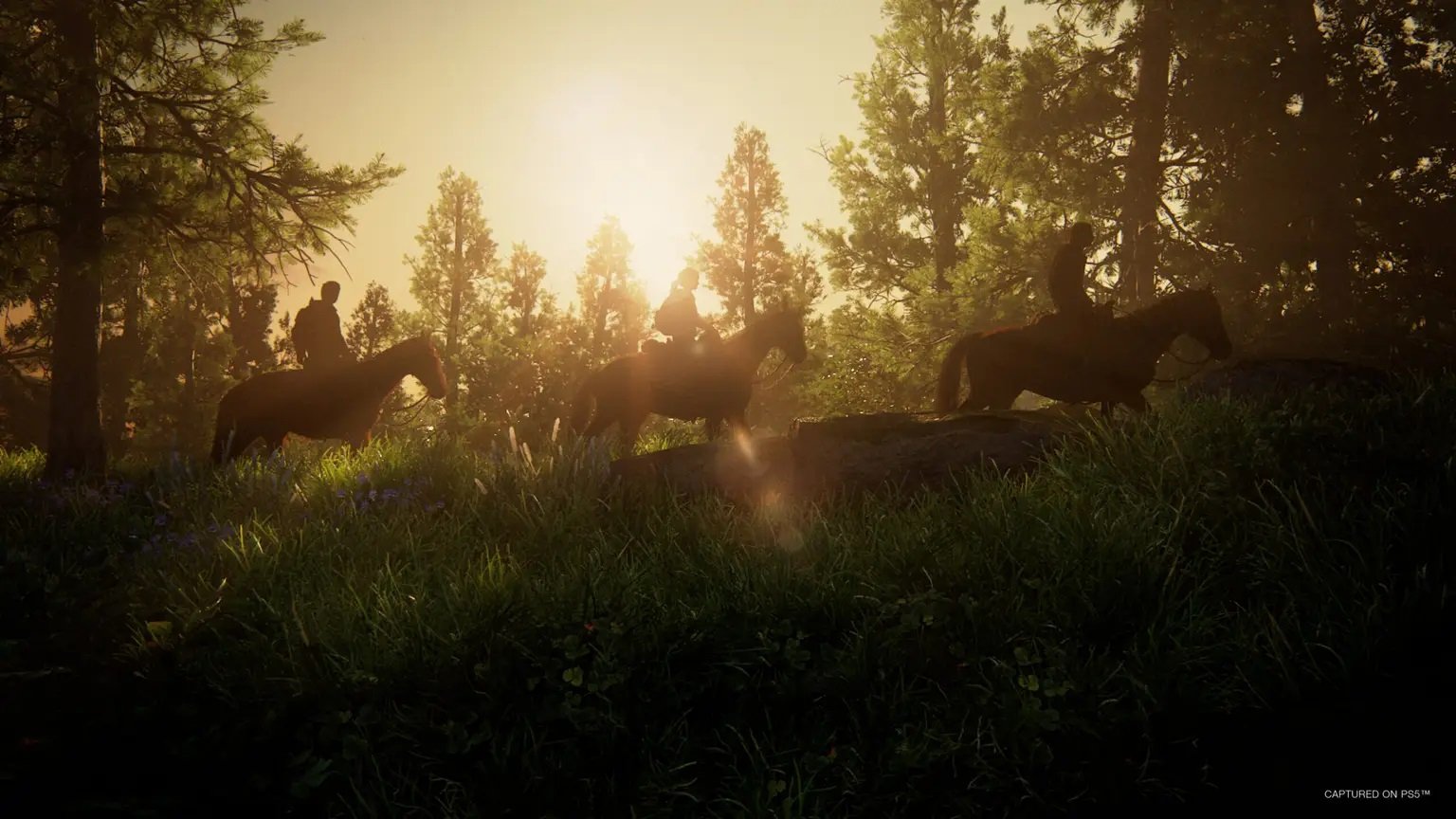 The Last of Us Part 1 Firefly Edition available to pre-order for PC, costs £100