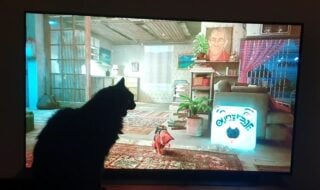Cats watching Stray have become the latest Twitter trend