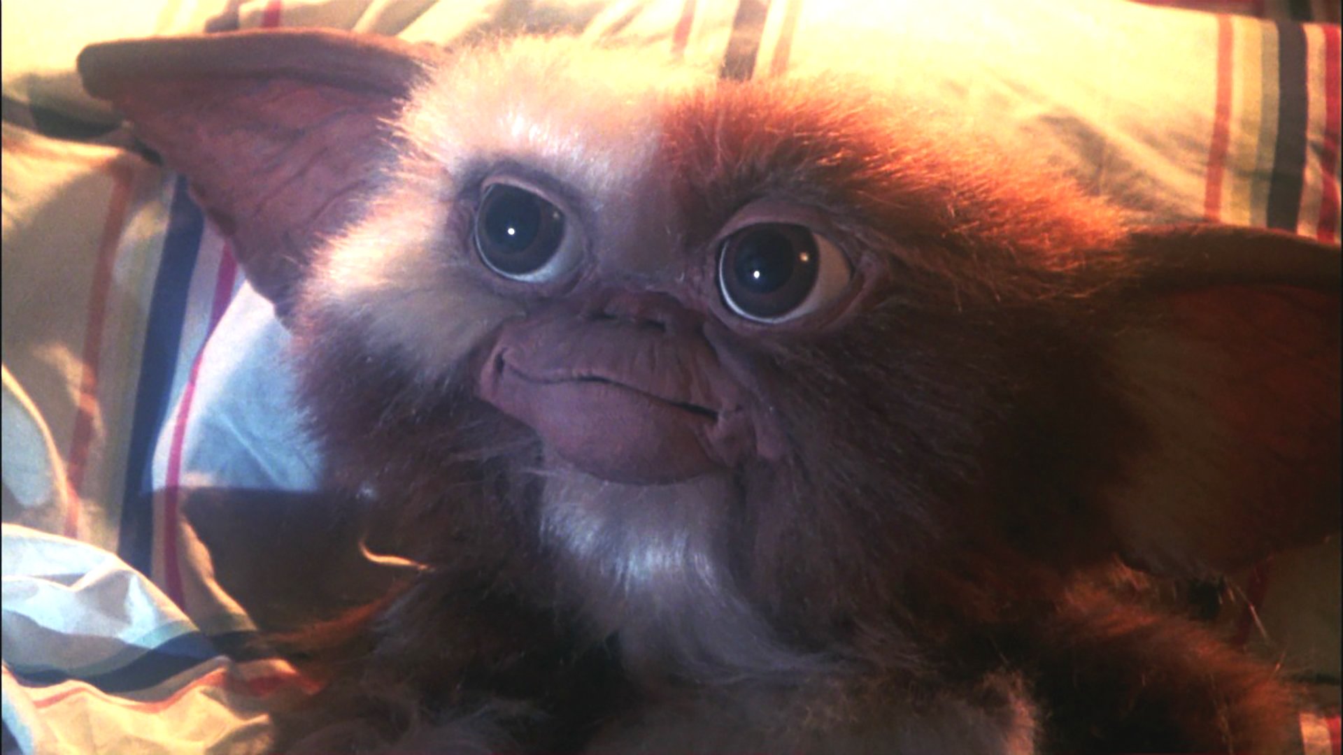 Gremlins Gizmo