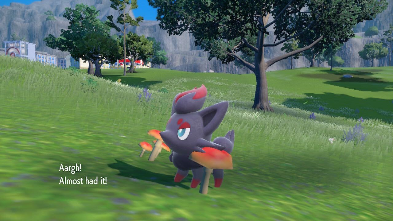 Pokemon Scarlet And Violet Ditto And Zorua: How To Catch