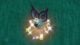 A shiny Noibat in Pokemon Scarlet and Violet.