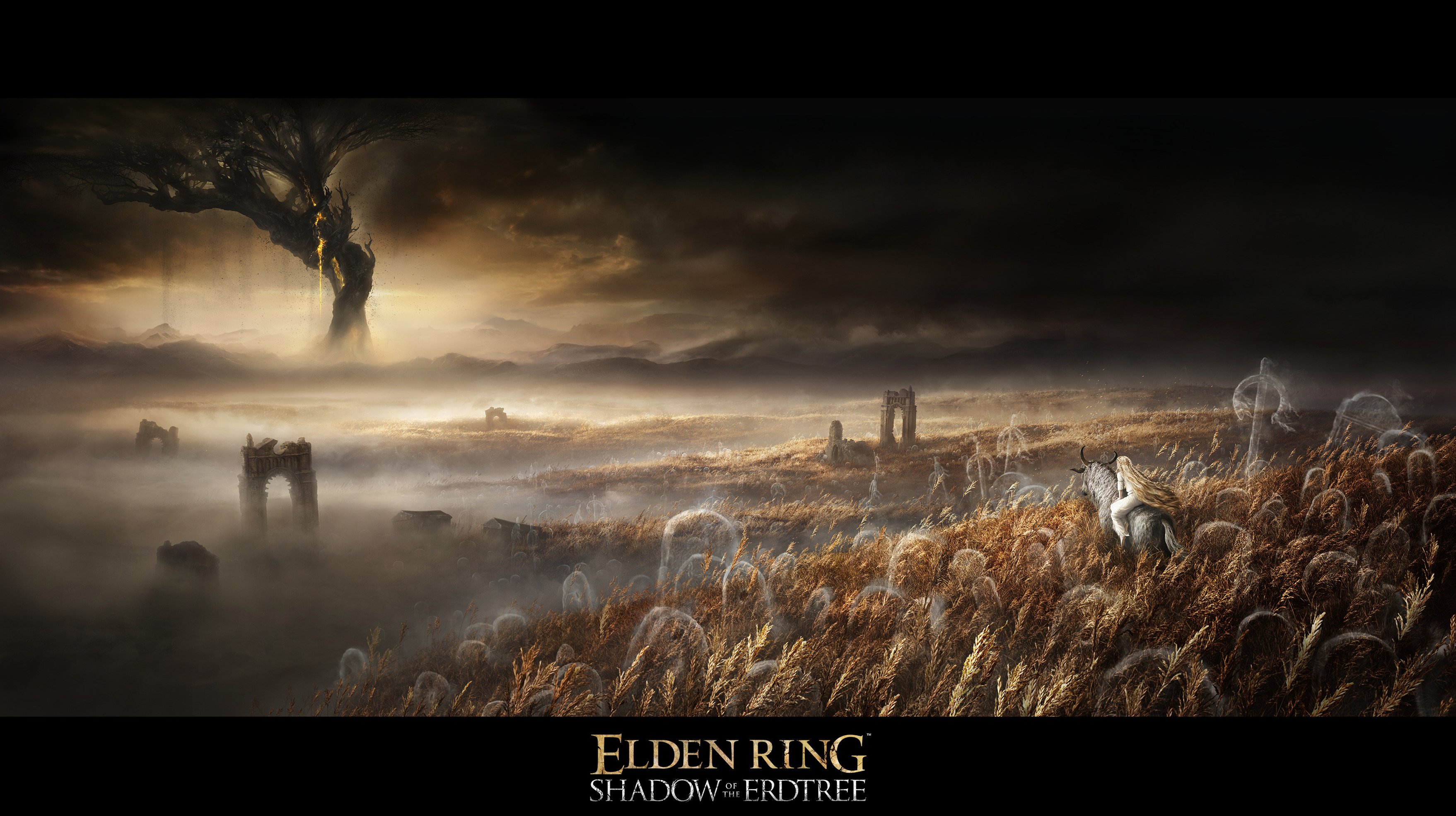 Elden Ring DLC development is 'proceeding smoothly', says From