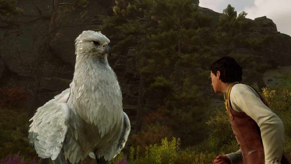 Hogwarts Legacy Hippogriff How to get a Hippogriff VGC