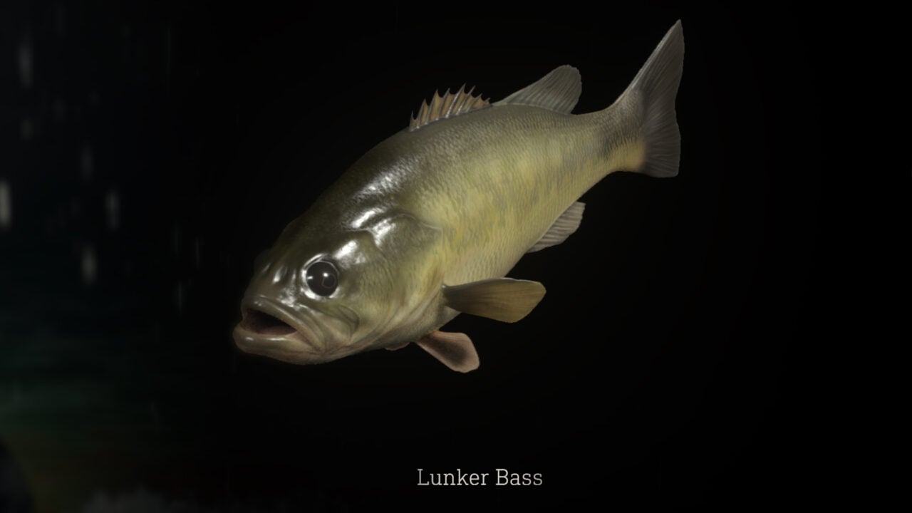 Resident Evil 4 Catch Me a Big Fish Gigantic Fish location VGC