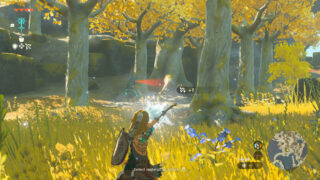 Gallery: Nintendo’s 41 Zelda: Tears of the Kingdom screens showing gameplay