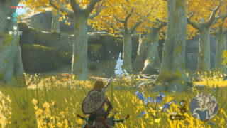 Gallery: Nintendo’s 41 Zelda: Tears of the Kingdom screens showing gameplay