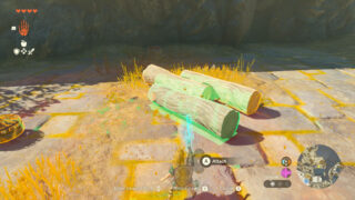 Gallery: Nintendo’s 41 Zelda: Tears of the Kingdom screens showing gameplay