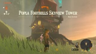 Zelda Popla Foothills Skyview Tower solution