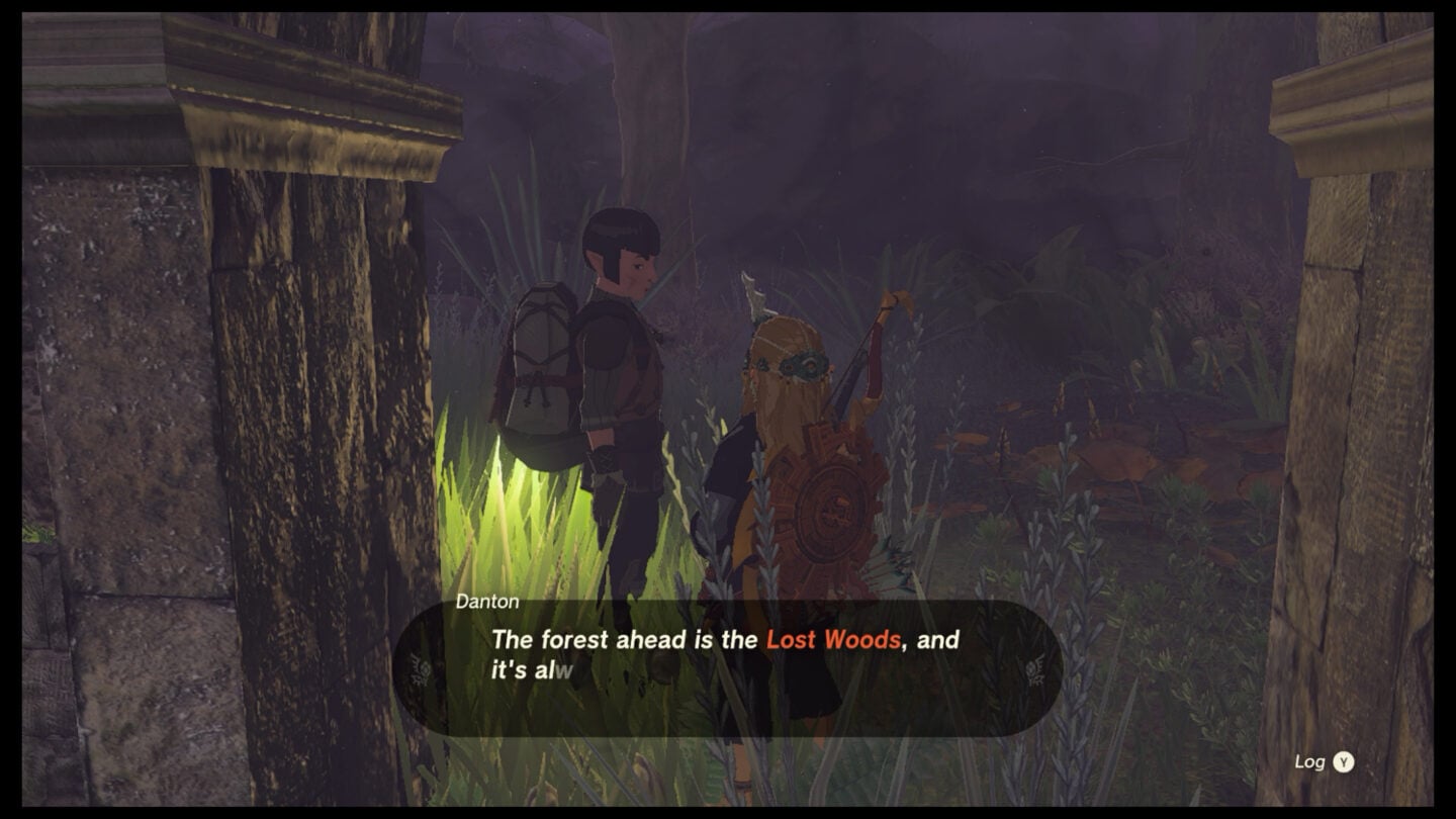 Zelda Tears of the Kingdom Lost Woods guide How to get through the