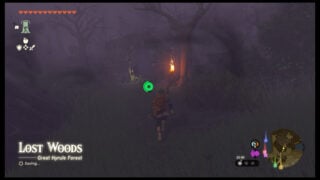 Zelda Tears of the Kingdom Lost Woods guide: How to get through the Lost Woods