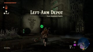 Zelda Left Arm Depot Guide