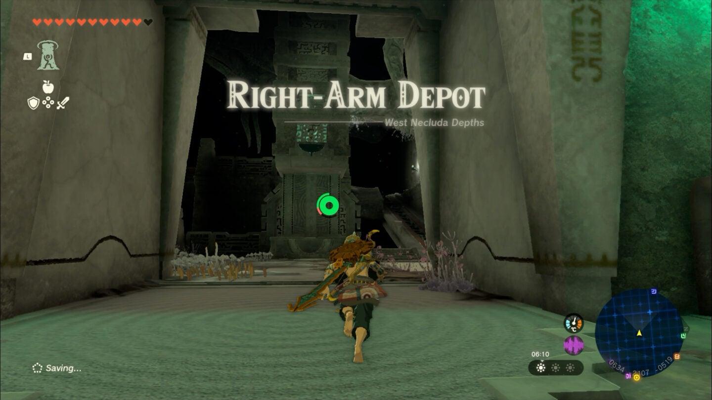 Zelda Right Arm Depot Guide VGC