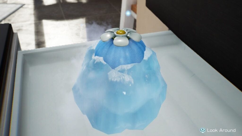 Pikmin 4 pink onion location vgc