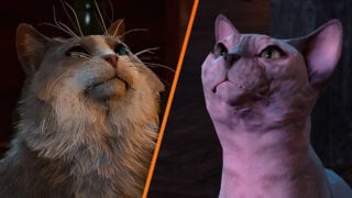 Baldur’s Gate 3 developer shaves cat after player backlash | VGC