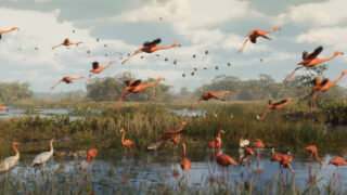 Gallery: Over 60 GTA 6 screenshots show the new Vice City