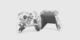 A ‘Dream Vapor’ Xbox Series X/S controller has seemingly leaked