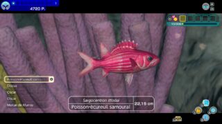 Endless Ocean is coming to Nintendo Switch with support for 30-players