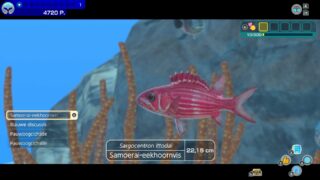 Endless Ocean is coming to Nintendo Switch with support for 30-players