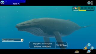 Endless Ocean is coming to Nintendo Switch with support for 30-players