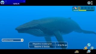 Endless Ocean is coming to Nintendo Switch with support for 30-players