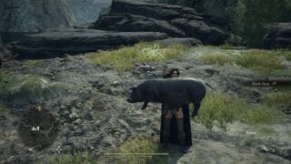 Dragon’s Dogma 2 is the most vital action RPG since Elden Ring