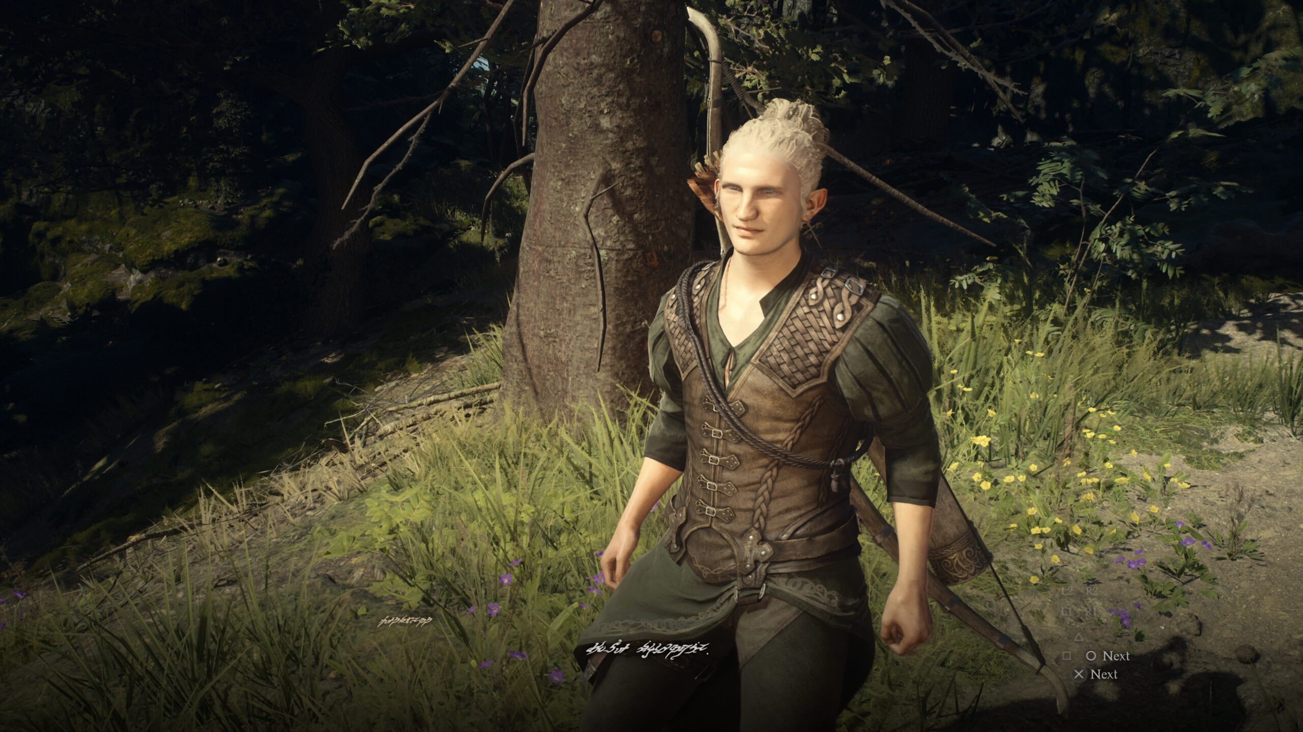 Dragon’s Dogma 2 How to learn Elvish VGC