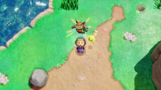 Zelda: Echoes of Wisdom is a new 2D adventure starring the Princess