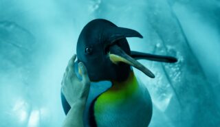 Here’s everything announced at Day of the Devs: Summer Game Fest 2024 Edition