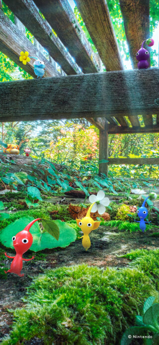 Gallery: Nintendo Japan shares 15 Pikmin wallpapers