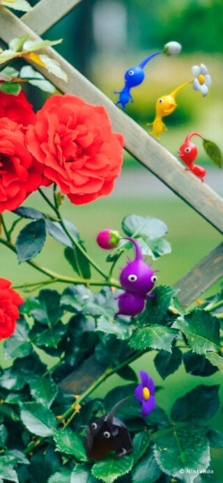 Gallery: Nintendo Japan shares 15 Pikmin wallpapers