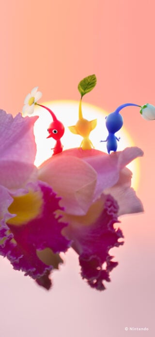 Gallery: Nintendo Japan shares 15 Pikmin wallpapers