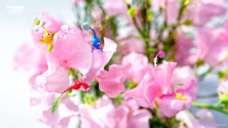 Gallery: Nintendo Japan shares 15 Pikmin wallpapers