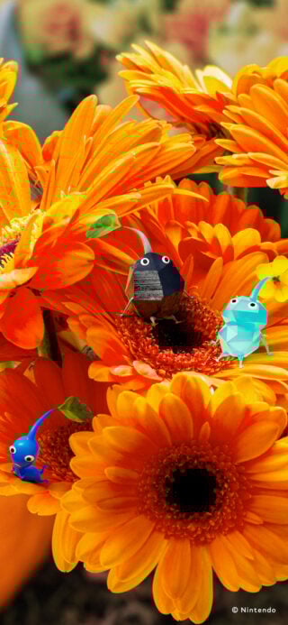 Gallery: Nintendo Japan shares 15 Pikmin wallpapers
