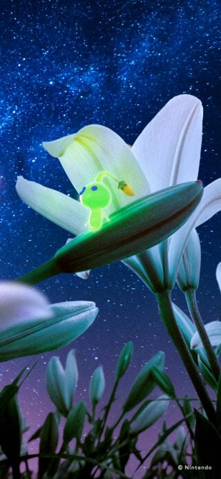 Gallery: Nintendo Japan shares 15 Pikmin wallpapers