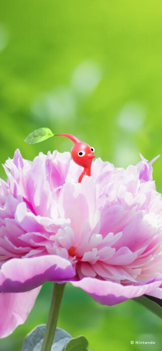 Gallery: Nintendo Japan shares 15 Pikmin wallpapers