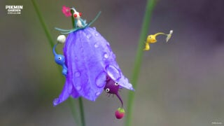 Gallery: Nintendo Japan shares 15 Pikmin wallpapers