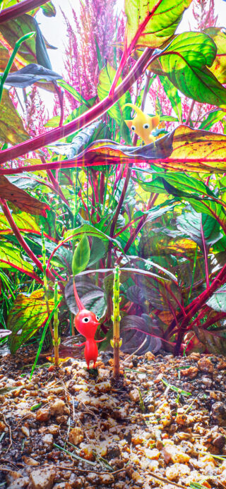 Gallery: Nintendo Japan shares 15 Pikmin wallpapers