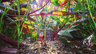 Gallery: Nintendo Japan shares 15 Pikmin wallpapers