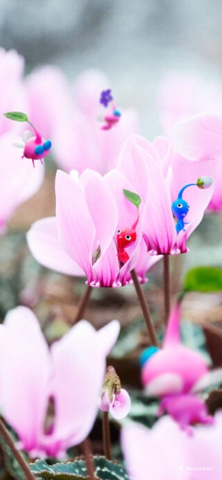 Gallery: Nintendo Japan shares 15 Pikmin wallpapers